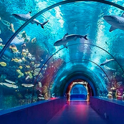 Gardenya Rezidans 20